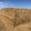 Wheat Straw 8x4x3