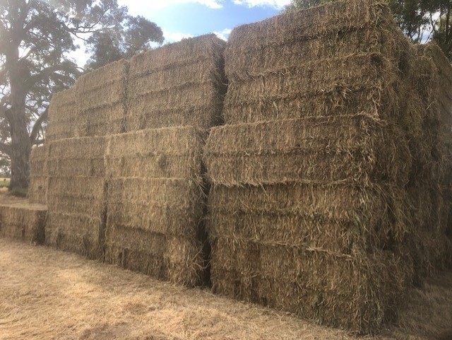 Under Auction - Oats & Balansa medium squares - 94 - 3x3x8 square bales weighing 420-440kg with good colour. Sold By The Ton