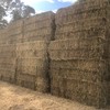 Under Auction - Oats & Balansa medium squares - 94 - 3x3x8 square bales weighing 420-440kg with good colour. Sold By The Ton