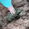 100mt Lucerne Hay 2nd cut 550-600kg 8x4x3 Bales 