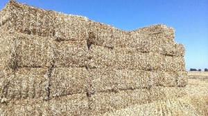 Oaten Straw hd bales 46 available