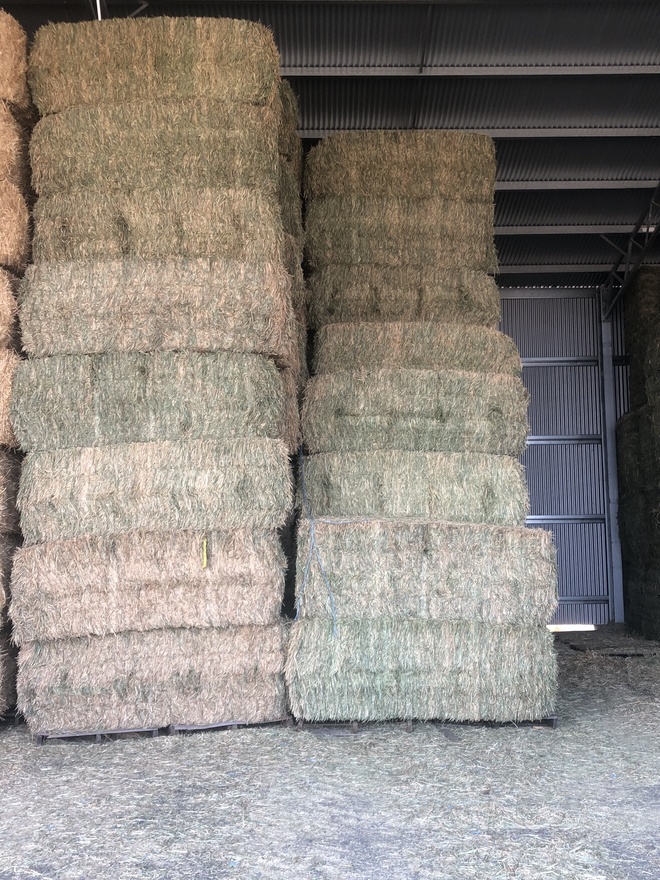 Wheaten Hay Good test