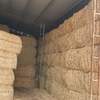 110mt Wheaten Hay 550-600kg 8x4x3 