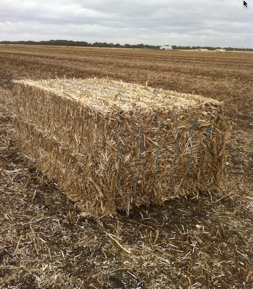 WANTED Bean Straw Tailings