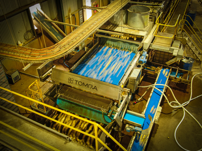 Tomra Sentinel II optical sorting machine