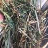 Oaten Vetch Hay Mix 700kg 8x4x3 Bales