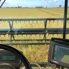 Windrower, New Holland HW320