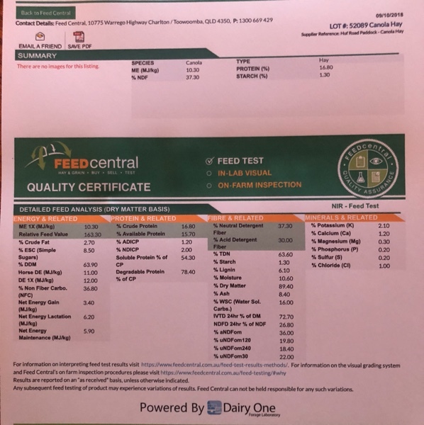 Canola Hay 8x4x3 Bales 