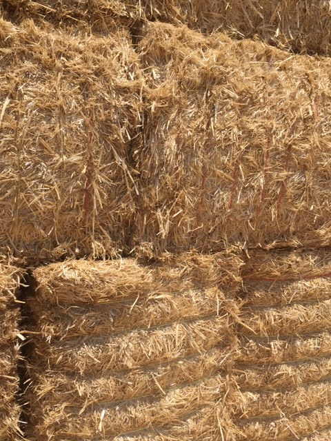 98t Header Trail Wheaten Straw 550kg bales 8x4x3