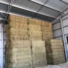 200 m/t A1 Vetch Hay 8x4x3 Bales Seller to Freight