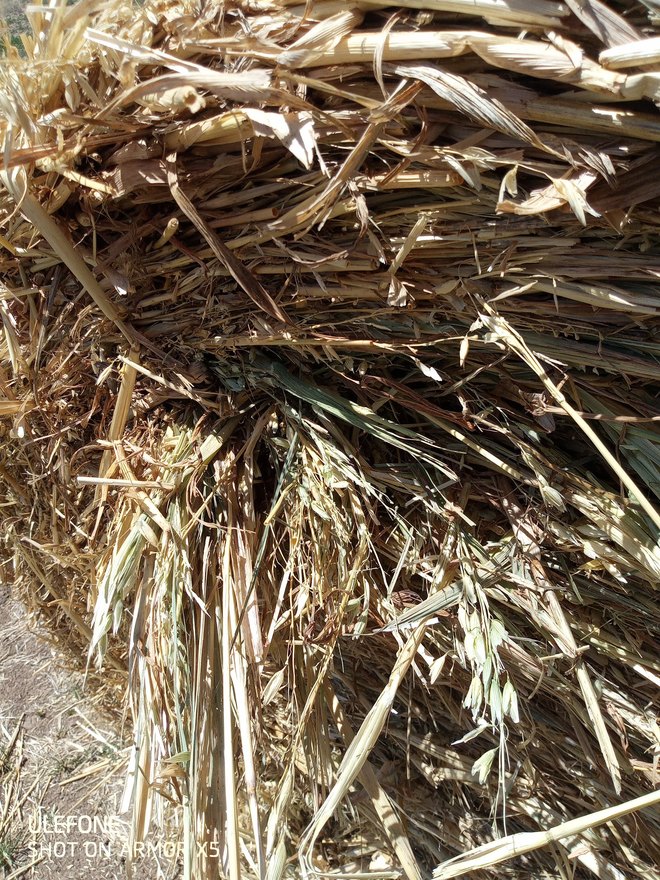 100 x Oaten Hay 5x4 Round Bales