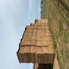 2019 Vetch Hay 8x4x3 Bales