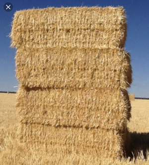 Expression Of Interest for Barley and Wheaten Straw 8x4x3