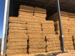 Oaten straw. Good test