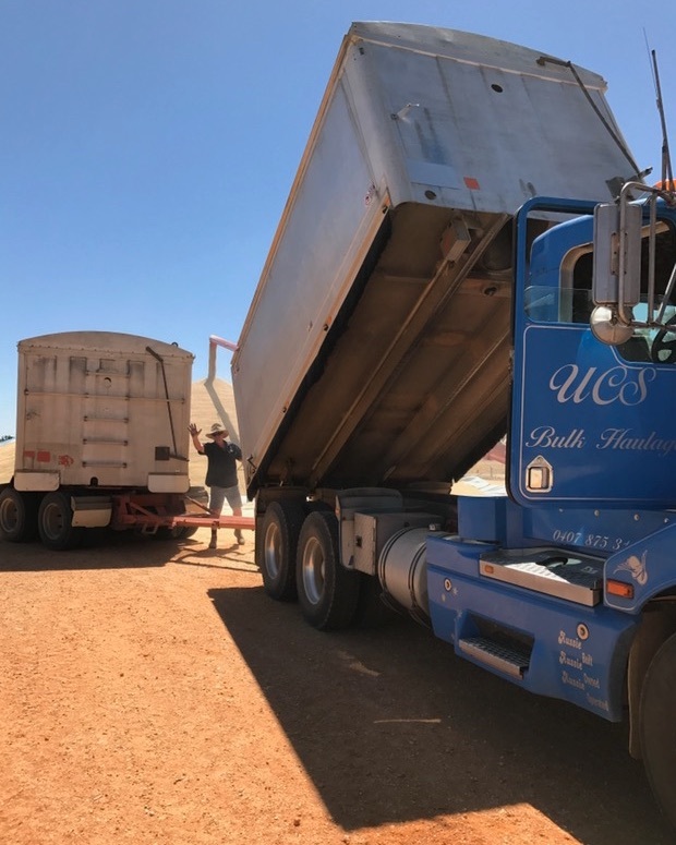 2006 Kenworth T401 with Quad Dog