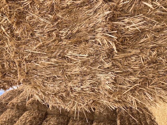64bales header trail Barley Straw 510kg+ 8x4x3 Bales