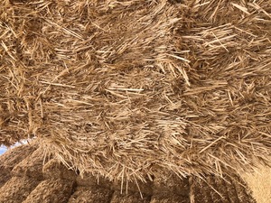 64bales header trail Barley Straw 510kg+ 8x4x3 Bales