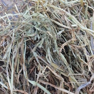 Vetch/Barley Hay