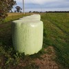 Lucerne Silage