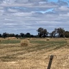 HAY FOR SALE