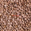 25mt Red Lentils 
