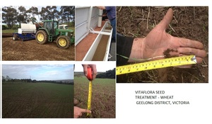 Seed Treatment Fertilizer - 1000 Litres