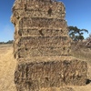 1500 Wheaten Hay 8x4x3 Bales (Weather Damaged)