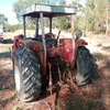 International 484 Tractor 
