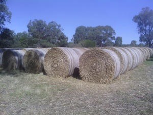 Wheaten straw. 5x4 rolls.