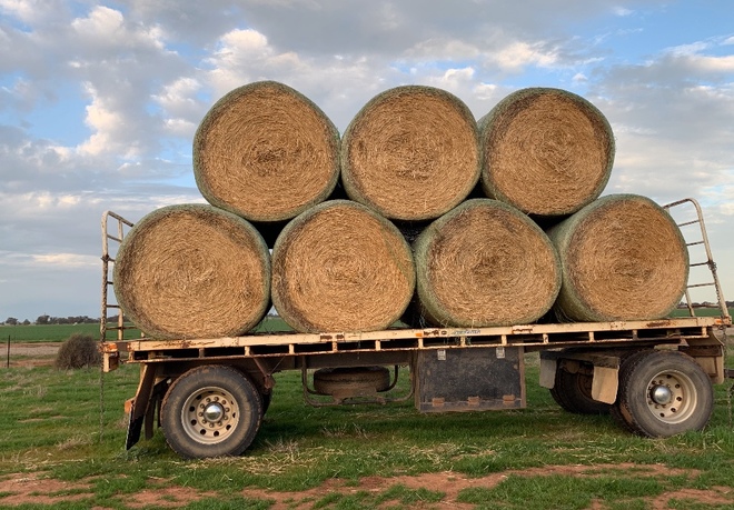 Wheaten Straw 5x4 Bales 