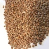 200/mt Feed Lentils For Sale
