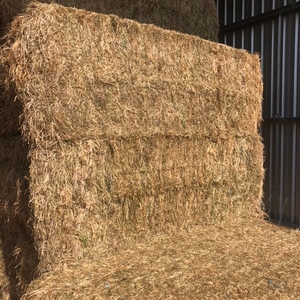 Ryegrass/Medic Hay