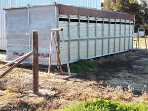 Cattle/ Horse Crate.