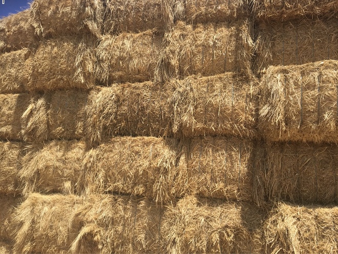 80mt Oaten/Ryegrass Hay 500kg 8x4x3 Bales