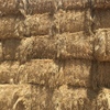 80mt Oaten/Ryegrass Hay 500kg 8x4x3 Bales
