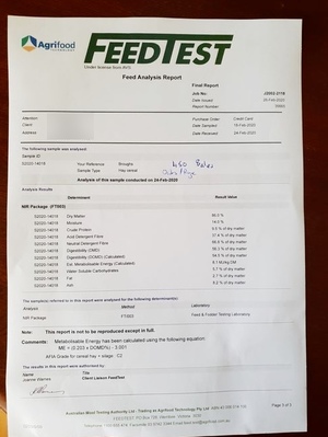 Oats/Rye Hay for sale