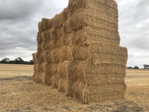 Wheat Straw