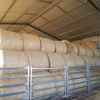 Barley Hay Rounds