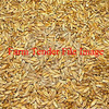 250mt Triticale Grain