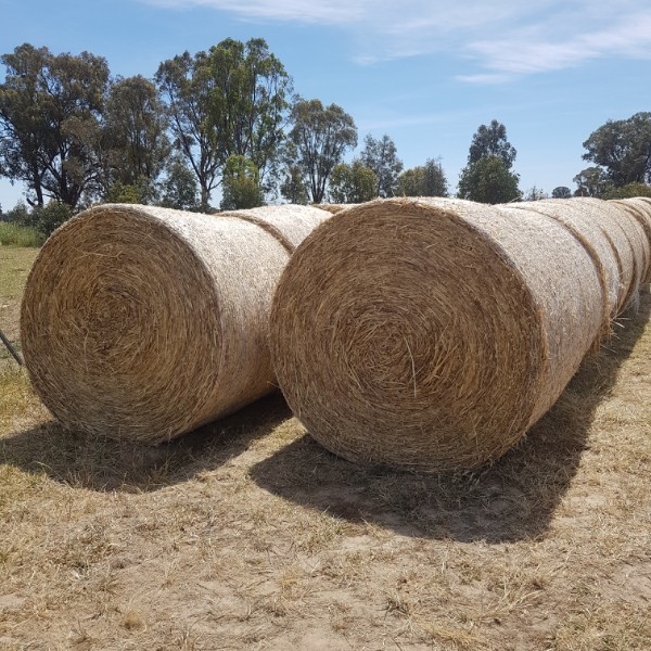 Hay Oat & Rye grass 5x4 round bales