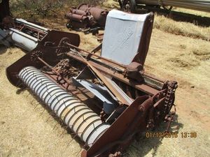  - Vintage Sunshine Pea Fronts - 