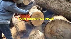 WANTED Echo Chainsaw CS600EVL or CS610EVL