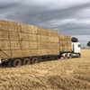 Good quality Wheaten and Barley straw from header tailings