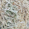 2 x B Doubles 128 Bales New Seasons Oaten Hay 8x4x3 Bales