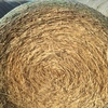 Wheaten Hay - Rounds Bales