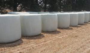 Oaten/Ryegrass Silage