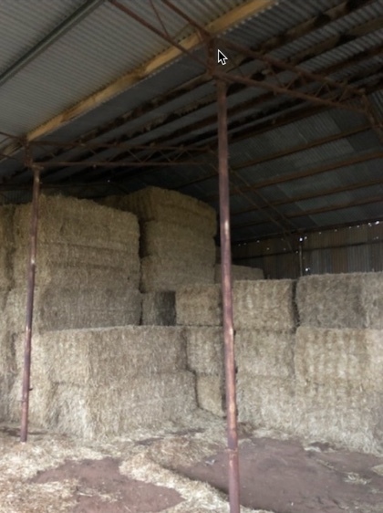 40 x Barley Straw 8x4x3 Bales Seller to Freight