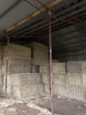 40 x Barley Straw 8x4x3 Bales Seller to Freight