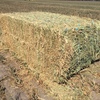 CANOLA HAY, 14.5% PROTEIN, 9.5ME, 8x4x3 