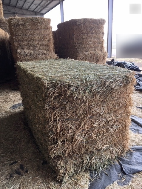 250mt Wheaten Hay 725kg approx. 8x4x4 Bales